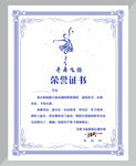 舞蹈培训荣誉证书