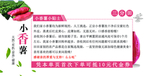 小香薯代金券