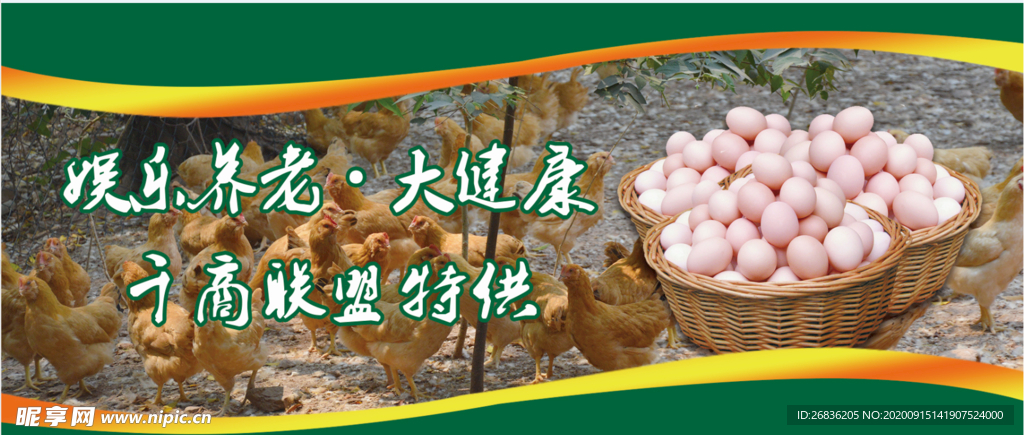 155x70 鸡蛋