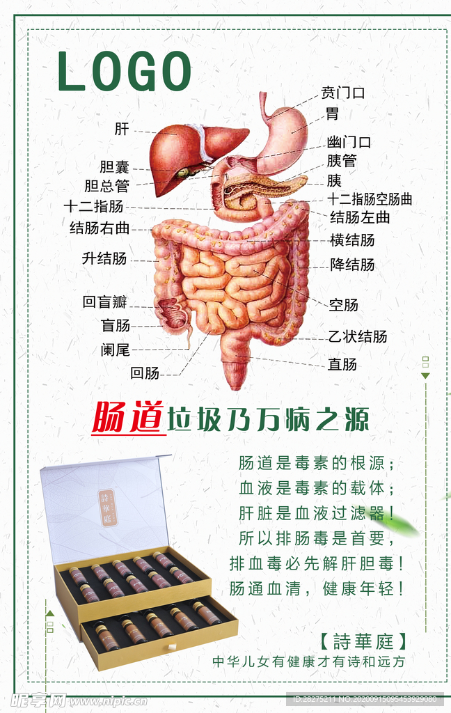 肠道排毒 养护