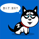 哈士奇之怎么了
