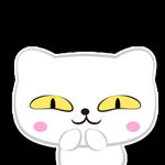 猫呆呆