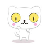 猫呆呆萌猫 大眼猫 小猫 猫咪