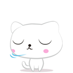 猫呆呆萌猫 大眼猫 小猫 猫咪
