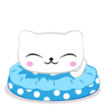 猫呆呆萌猫 大眼猫 小猫 猫咪