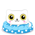 猫呆呆萌猫 大眼猫 小猫 猫咪