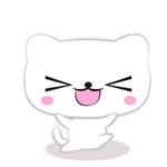 猫呆呆萌猫 大眼猫 小猫 猫咪