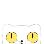 猫呆呆萌猫 大眼猫 小猫 猫咪
