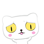 猫呆呆萌猫 大眼猫 小猫 猫咪