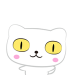 猫呆呆萌猫 大眼猫 小猫 猫咪