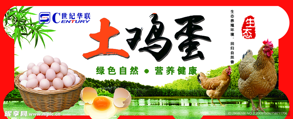 土鸡蛋
