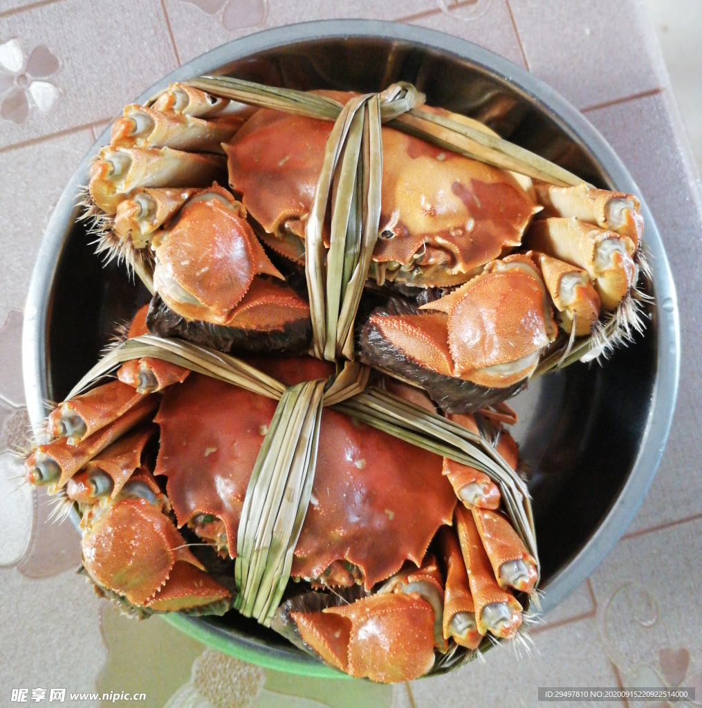 大闸蟹