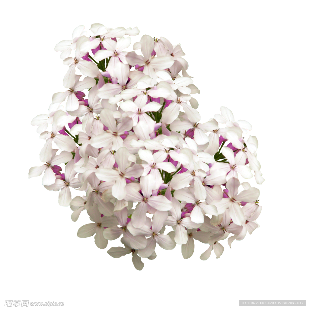 花