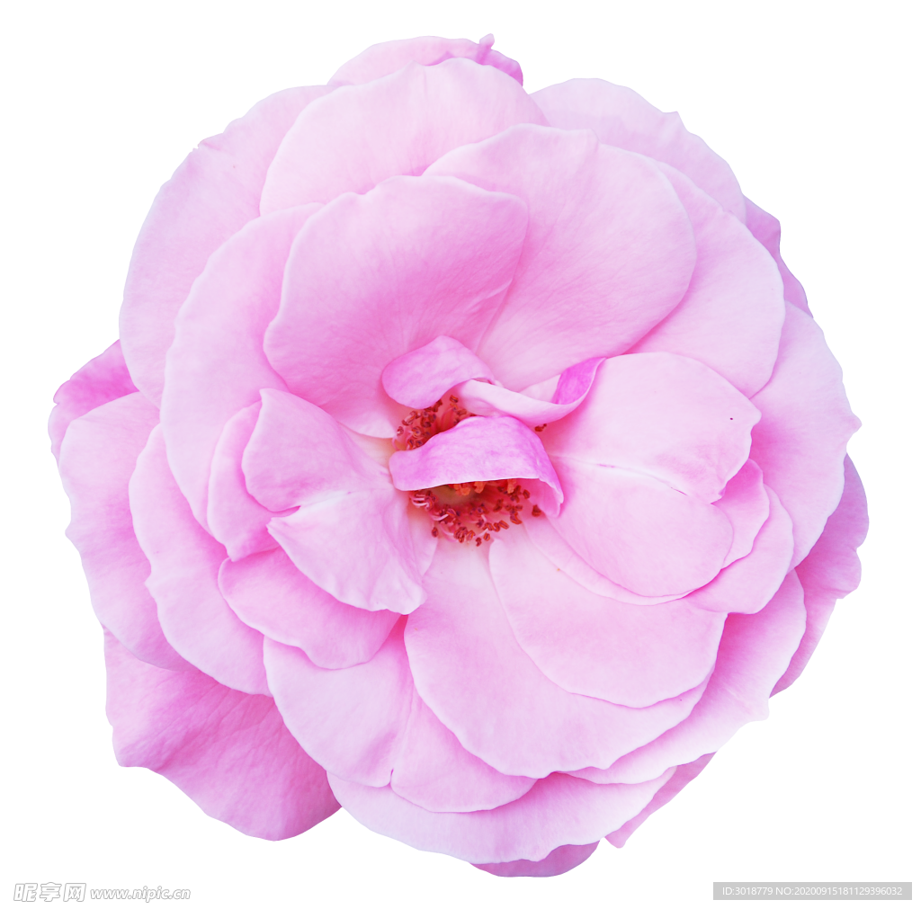 花边