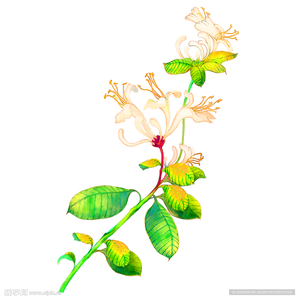 鲜花装饰