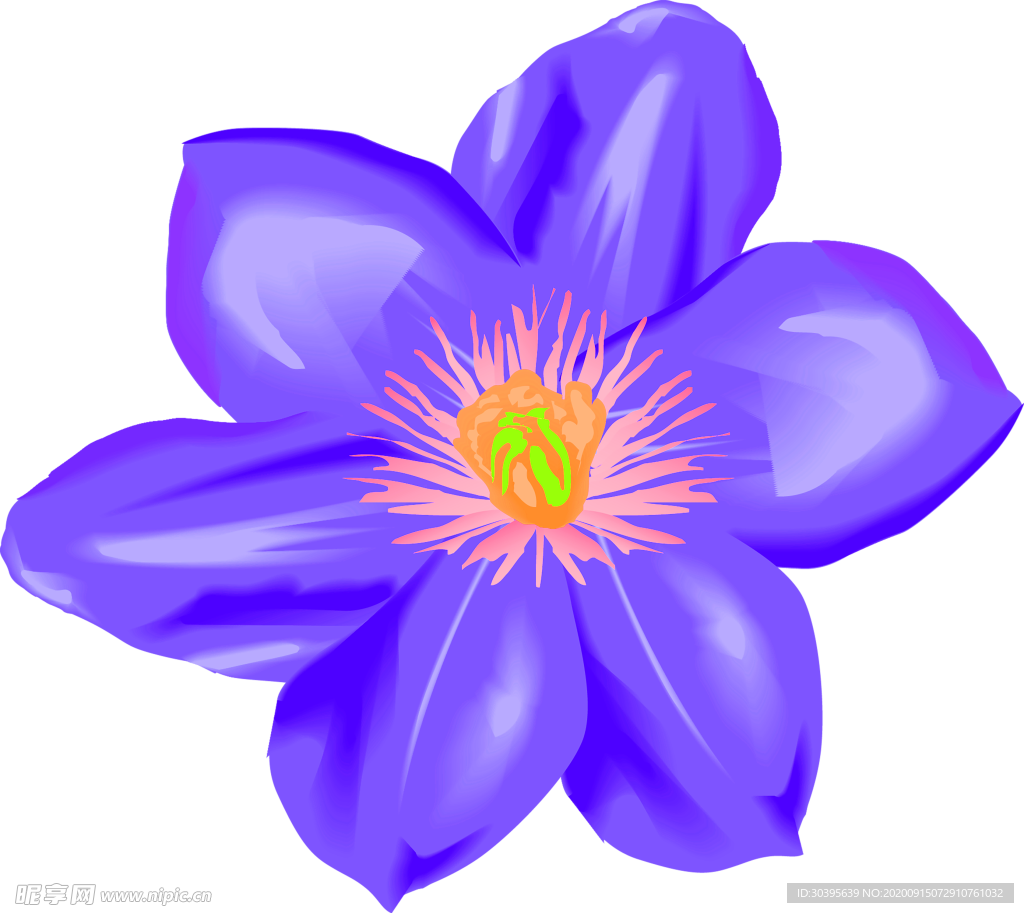 鲜花装饰