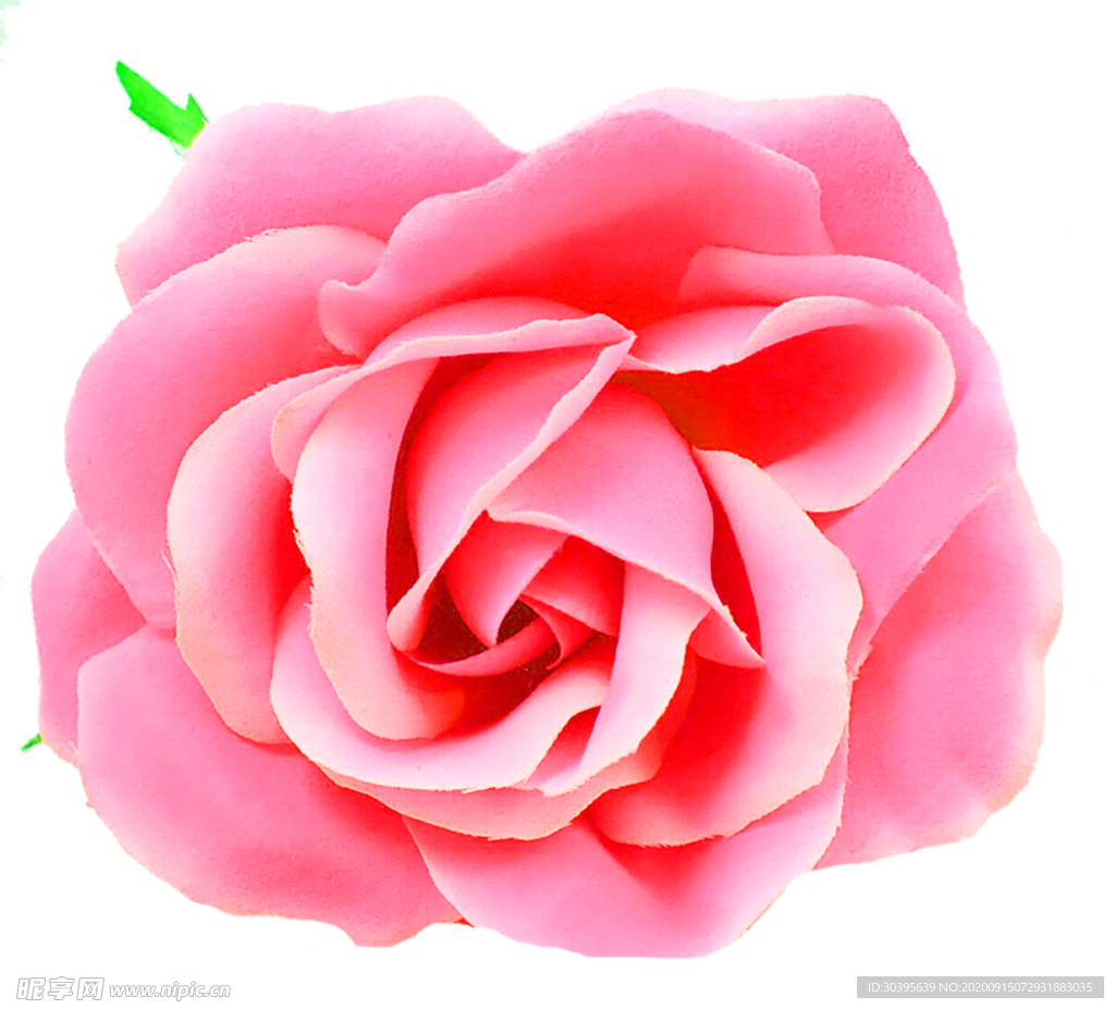 鲜花装饰
