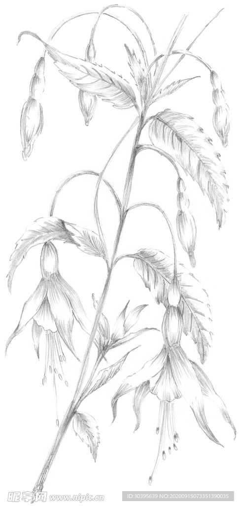 鲜花装饰