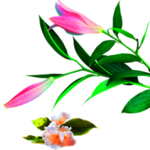鲜花装饰