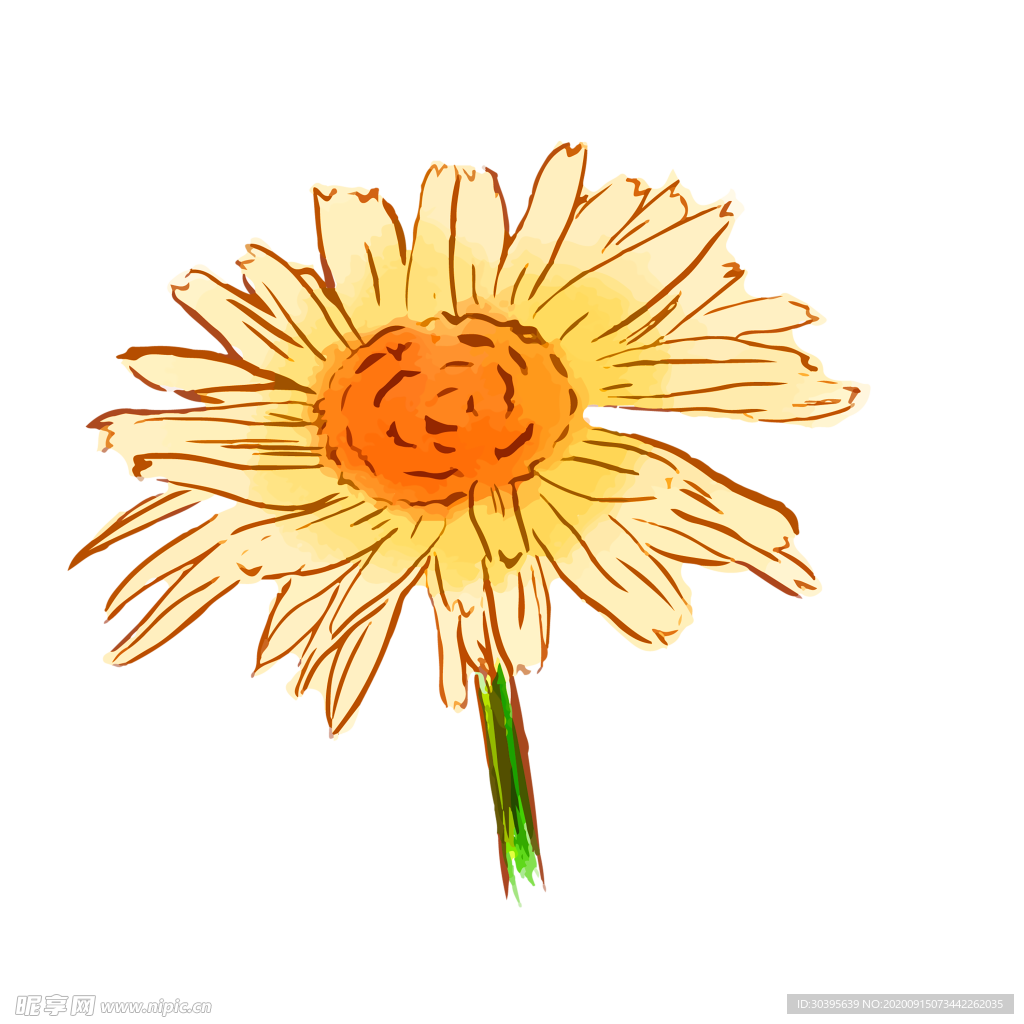 鲜花装饰