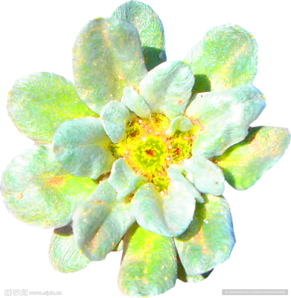 鲜花装饰