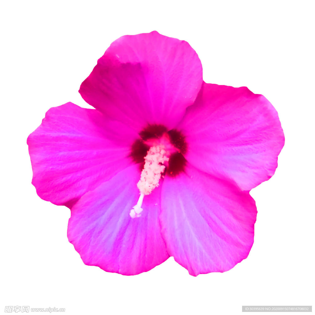 鲜花装饰