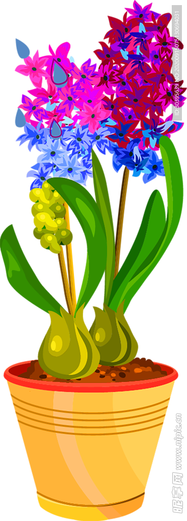 鲜花装饰