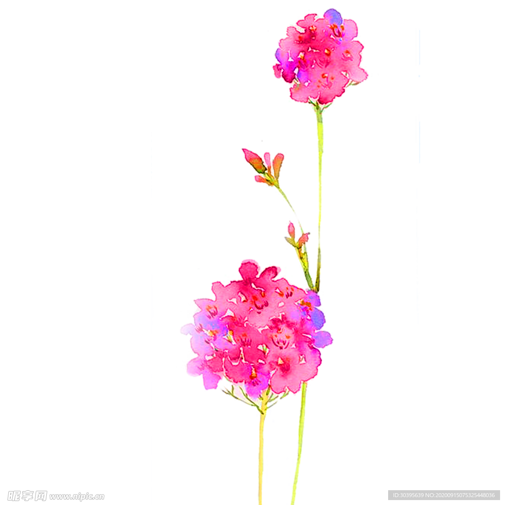 鲜花装饰