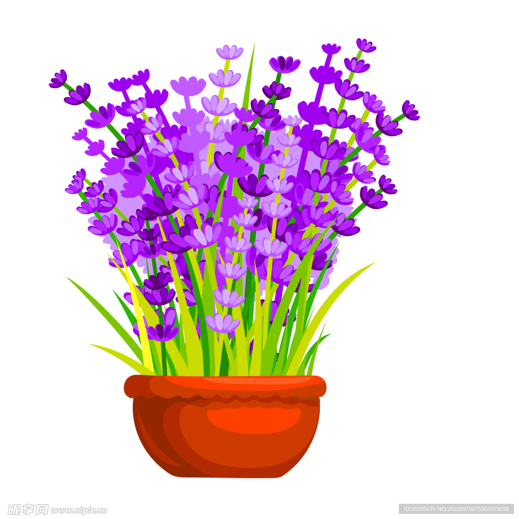 鲜花装饰
