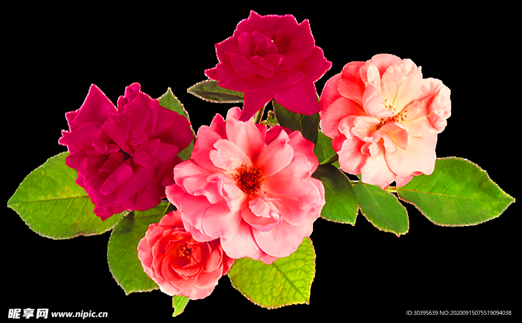 鲜花装饰