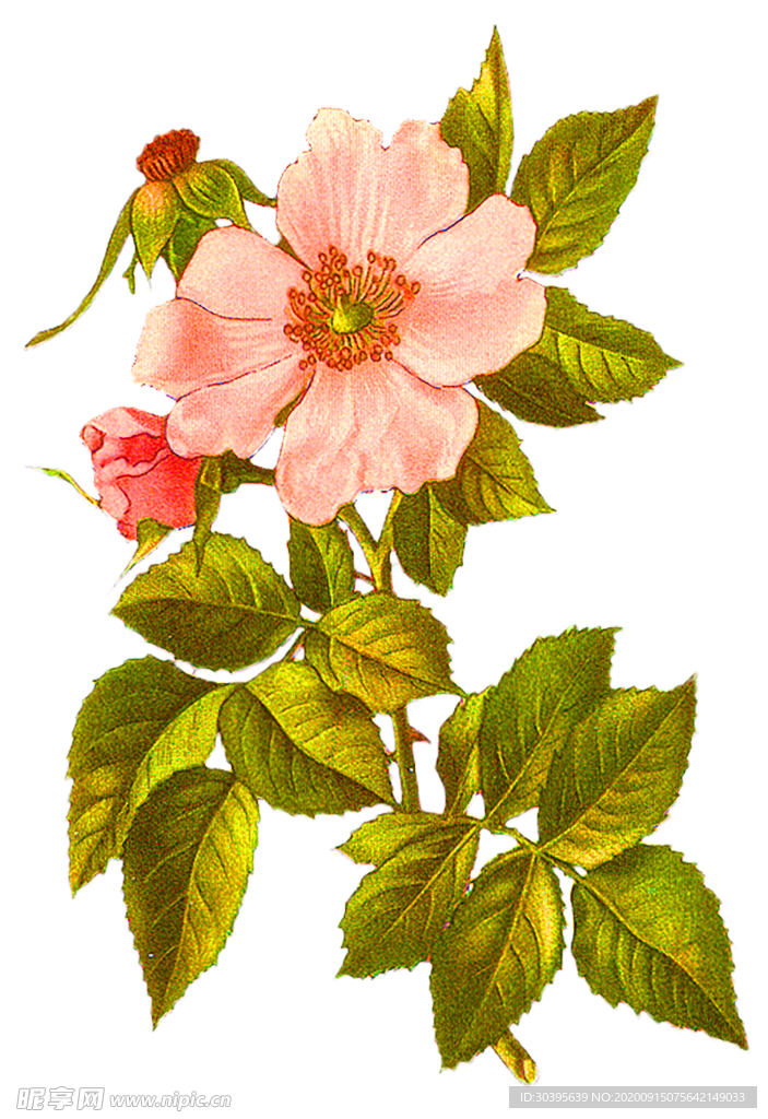 鲜花装饰