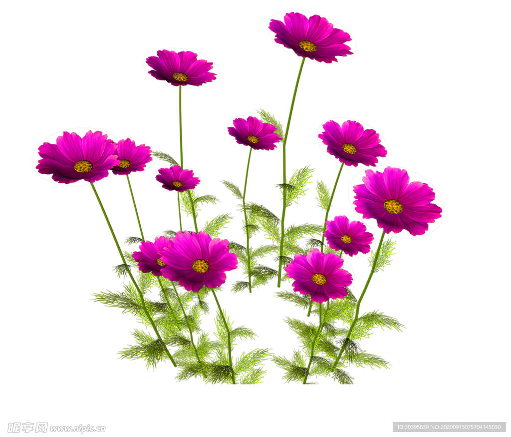 鲜花装饰