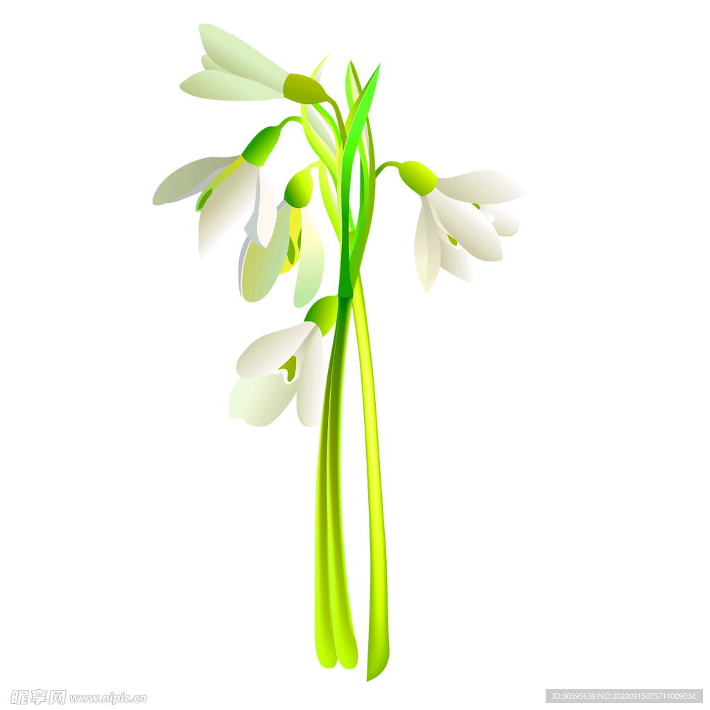 鲜花装饰