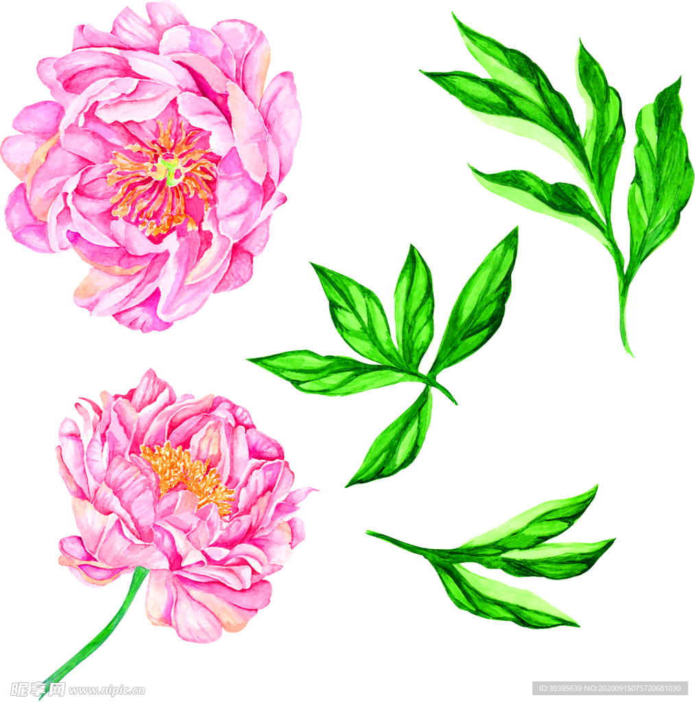 鲜花装饰