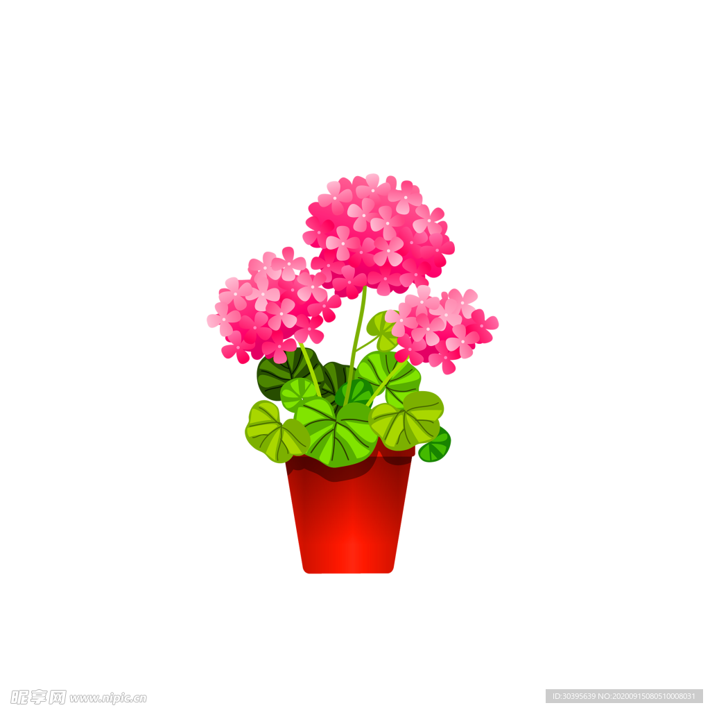 鲜花装饰