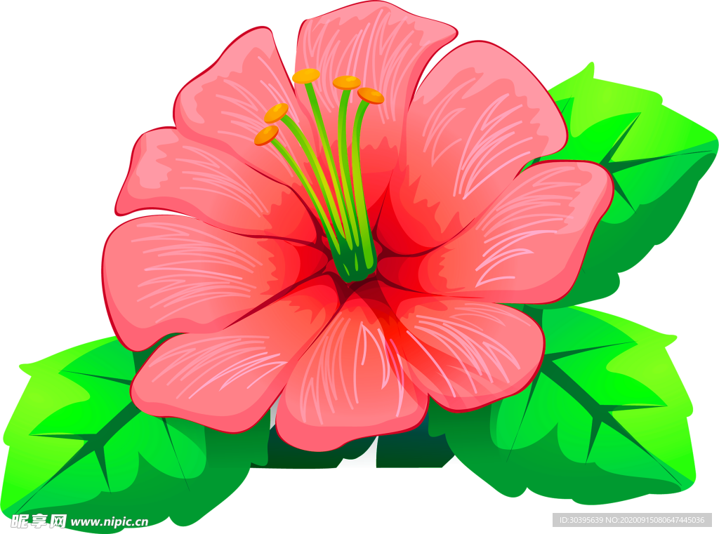 鲜花装饰