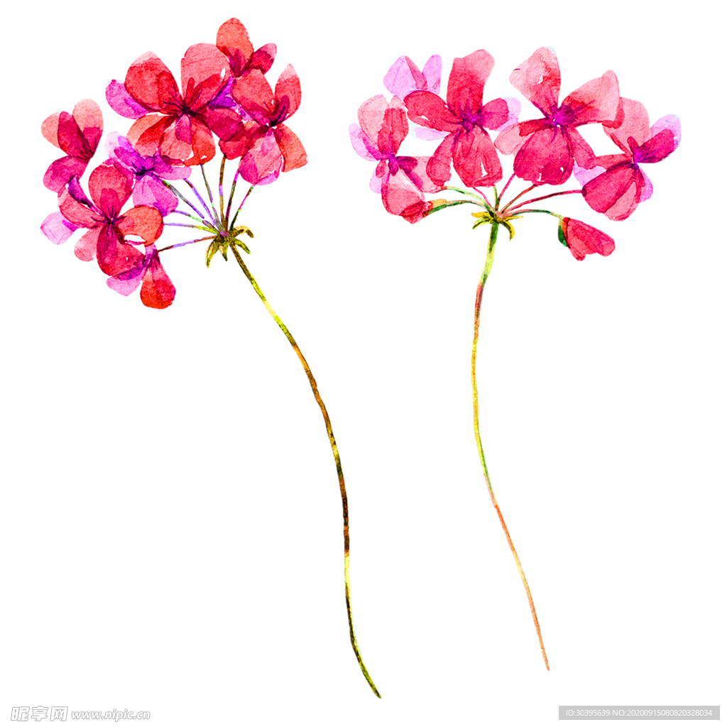 鲜花装饰