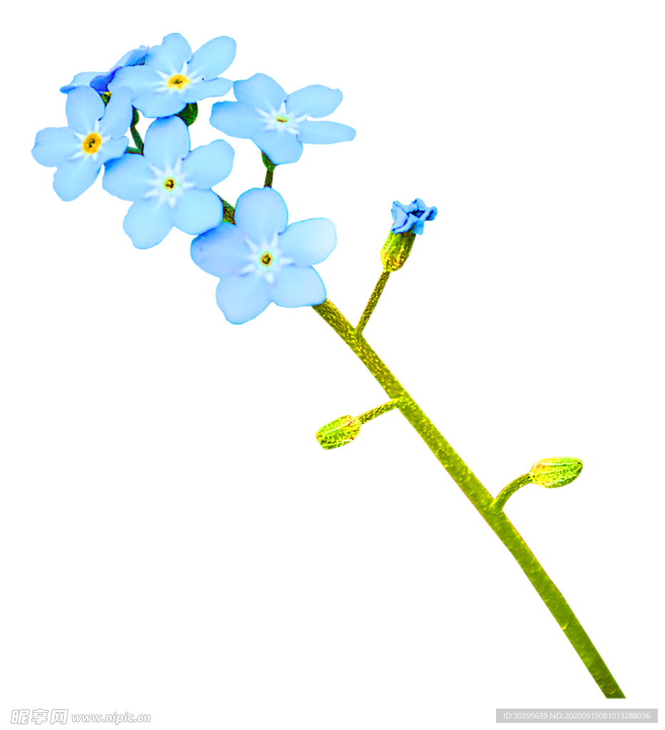 鲜花装饰