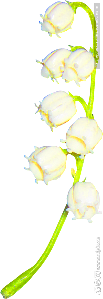 鲜花装饰