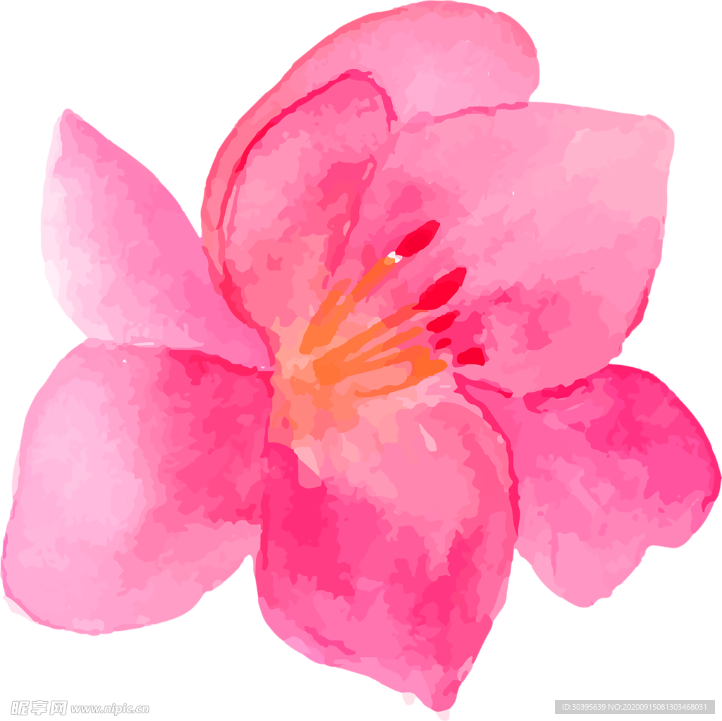 鲜花装饰