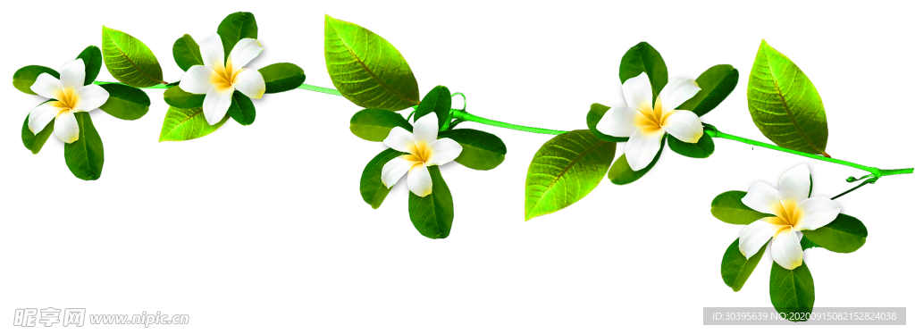 鲜花装饰