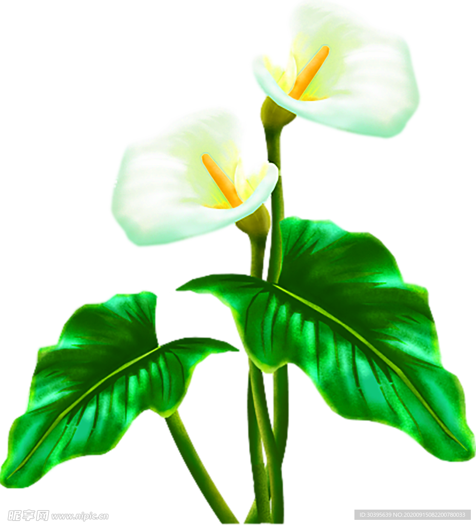 鲜花装饰