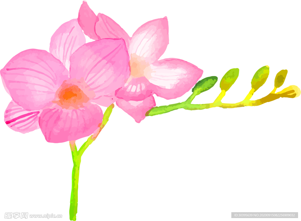 鲜花装饰