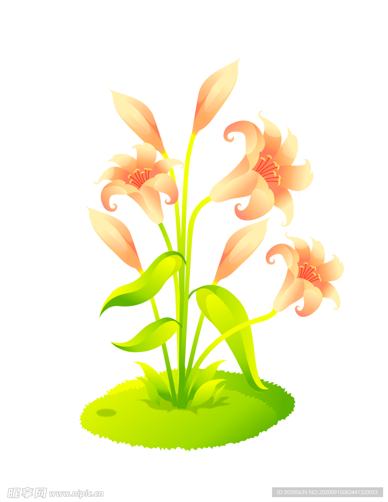 鲜花装饰