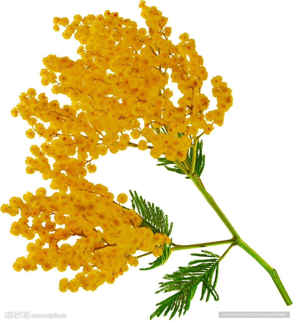 鲜花装饰