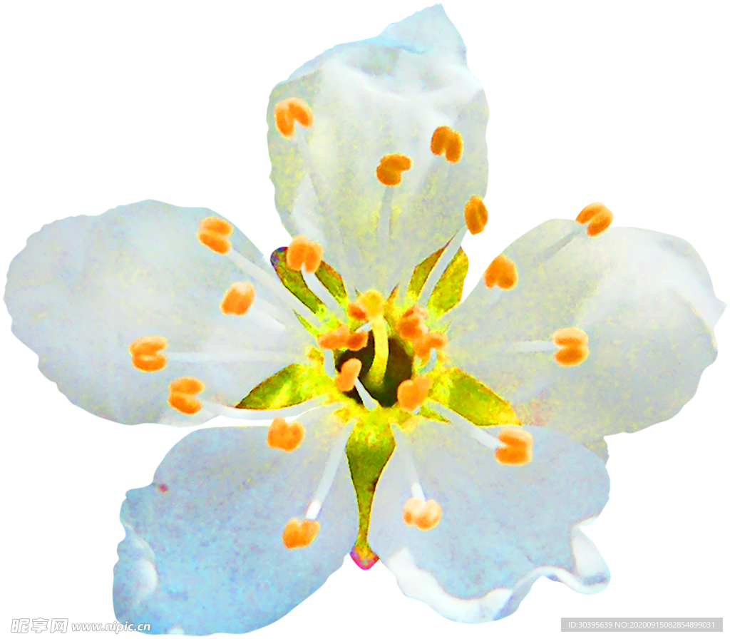 鲜花装饰