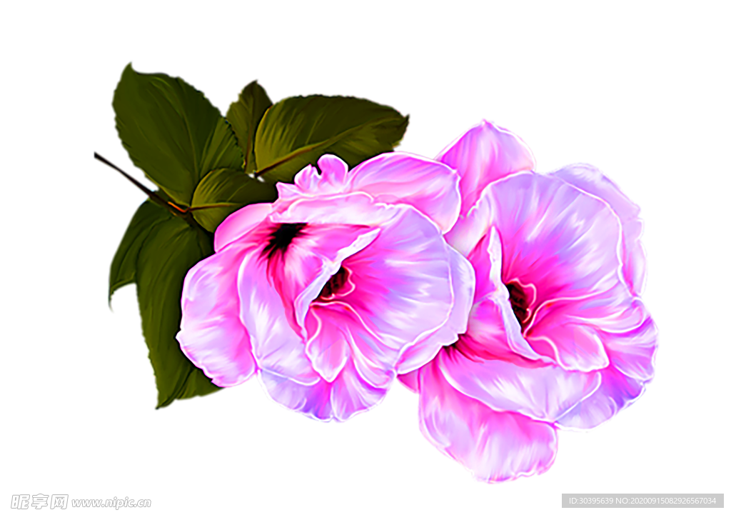 鲜花装饰
