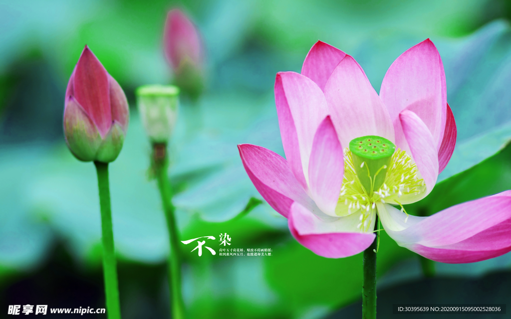 风景图片