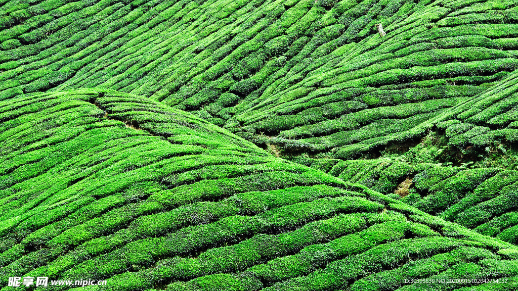 风景图片