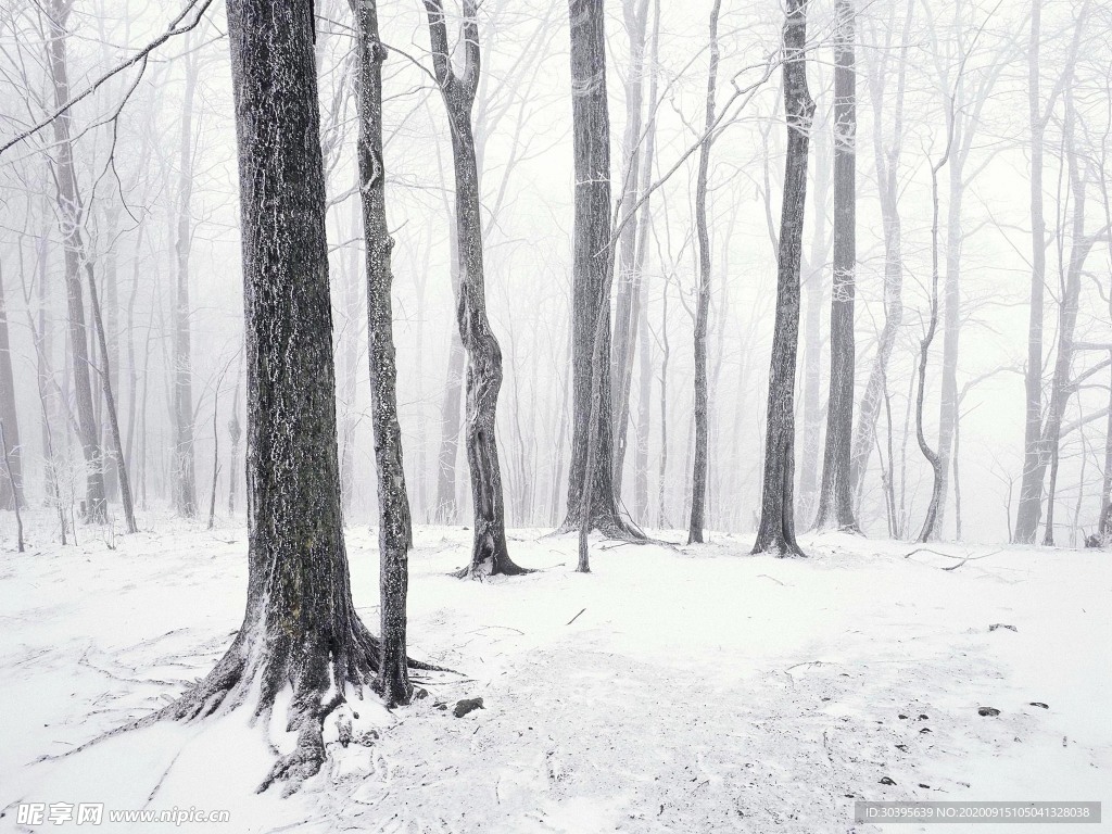 风景图片